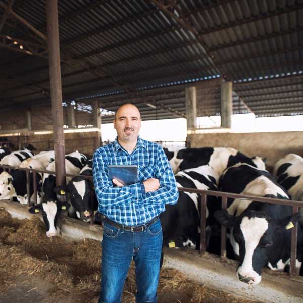 Ferme%20Verte%20–%20Ferme%20Bio%20&%20Agrotourisme%20Québec
