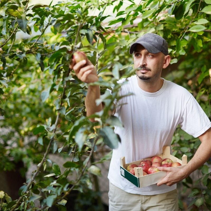 Ferme%20Verte%20–%20Ferme%20Bio%20&%20Agrotourisme%20Québec
