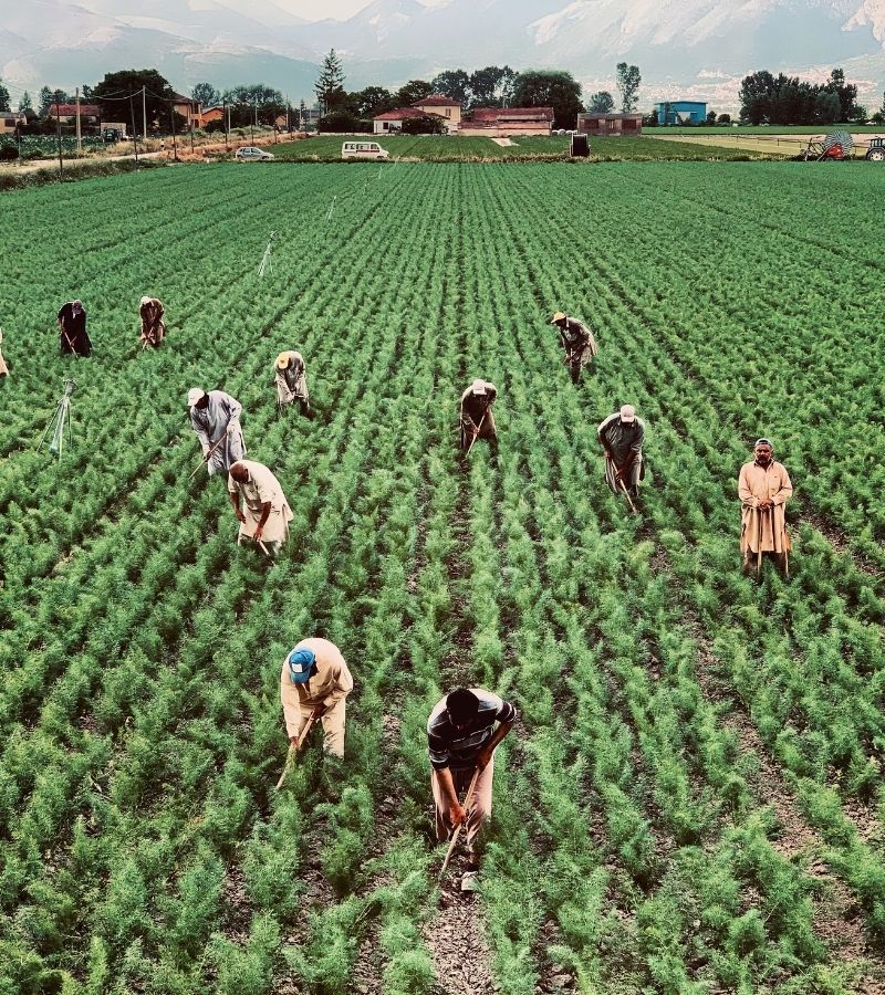 Ferme%20Verte%20–%20Ferme%20Bio%20&%20Agrotourisme%20Québec