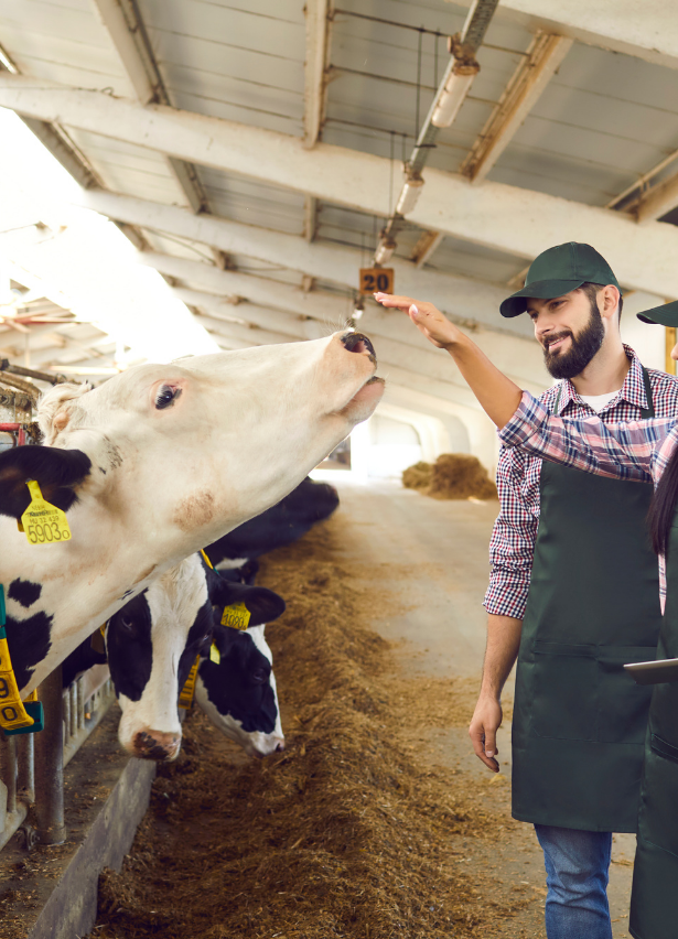 Ferme%20Verte%20–%20Ferme%20Bio%20&%20Agrotourisme%20Québec
