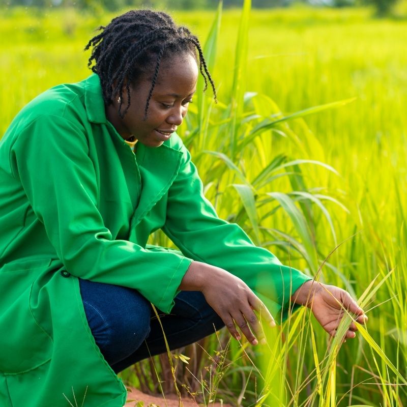 Ferme%20Verte%20–%20Ferme%20Bio%20&%20Agrotourisme%20Québec