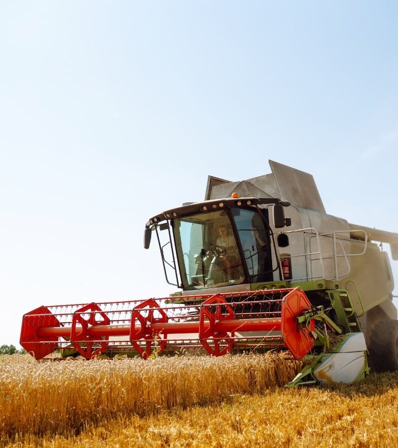 Ferme%20Verte%20–%20Ferme%20Bio%20&%20Agrotourisme%20Québec