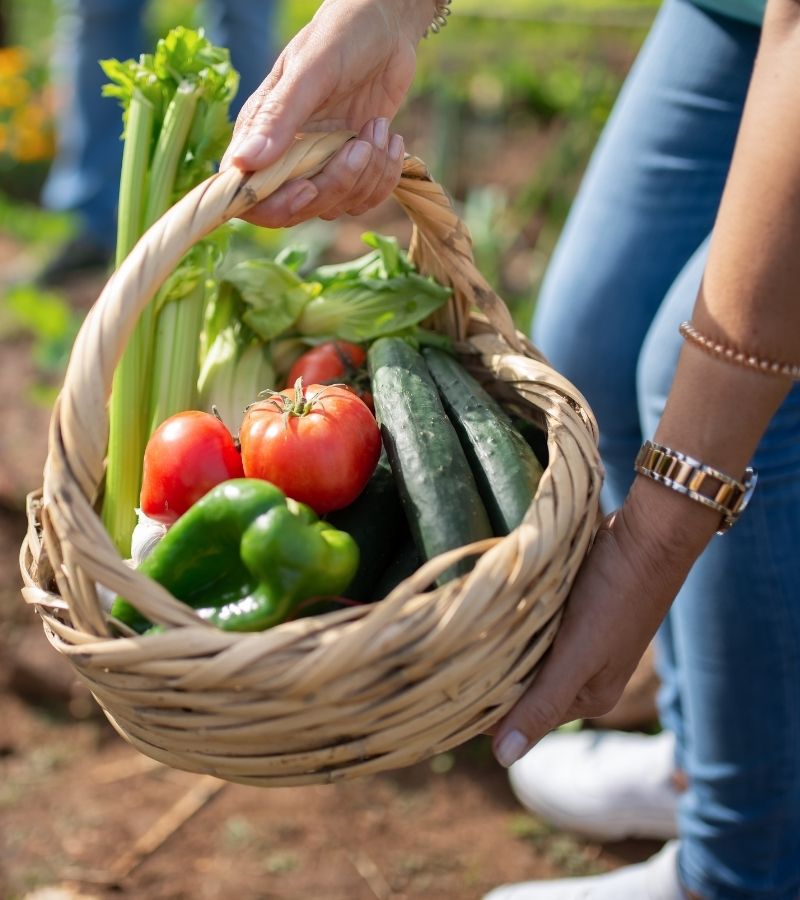 Ferme%20Verte%20–%20Ferme%20Bio%20&%20Agrotourisme%20Québec
