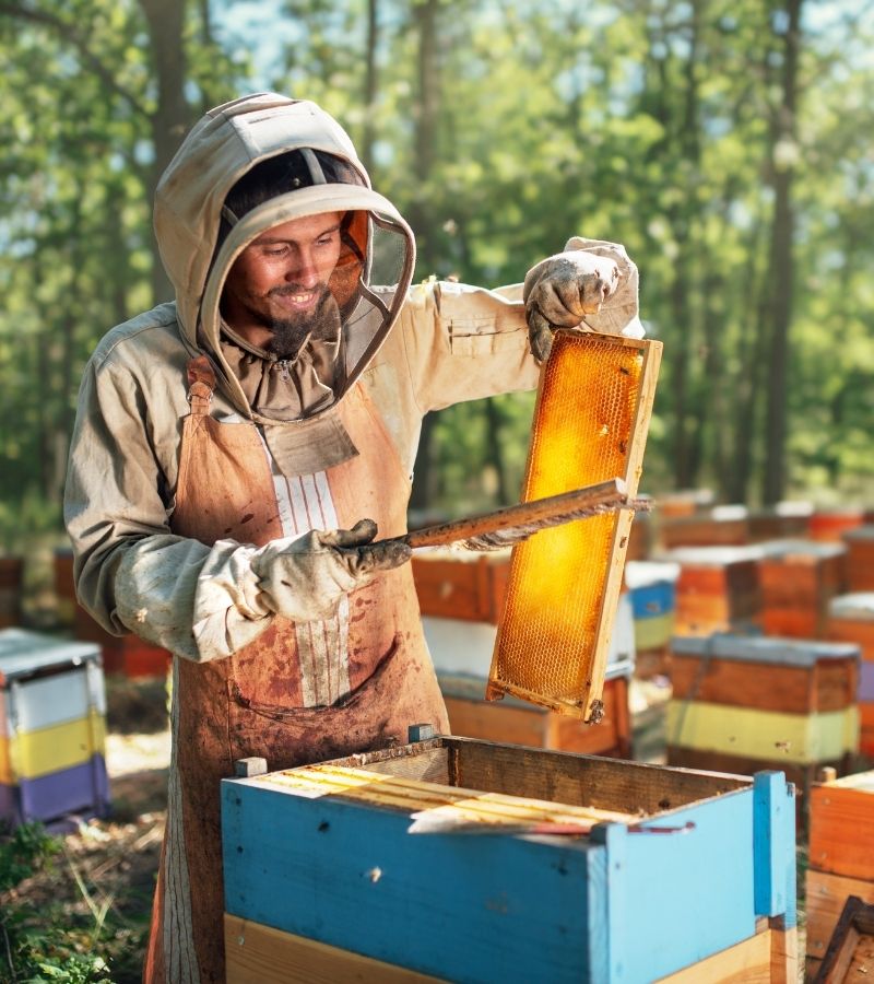 Ferme%20Verte%20–%20Ferme%20Bio%20&%20Agrotourisme%20Québec