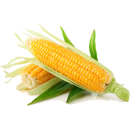fermeverte.com