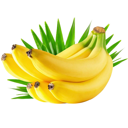 fermeverte.com