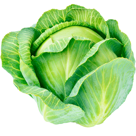 fermeverte.com